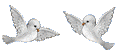 Angel birds