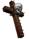 A skull